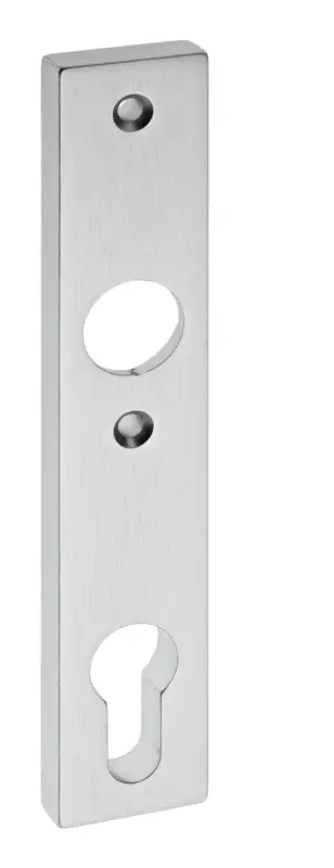 Edi Schlosskasten-Kurzschild, Luna 1317 innen, eckig ohne No., PZ 72, F1 eloxiert Mega-Angebot