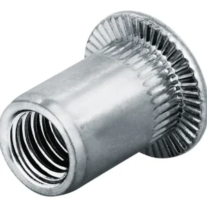 Begrenztes Angebot Goebel Blindnietmutter Alu Flachrundkopf M5 Klemmbereich 0,5 - 3 mm (Verpackungseinheit 250 Stück)