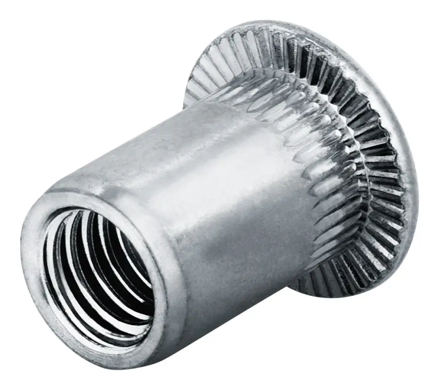 Geprüft Goebel Blindnietmutter Edelstahl Flachrundkopf M8 Klemmbereich 3 - 5,5 mm (Verpackungseinheit 250 Stück)