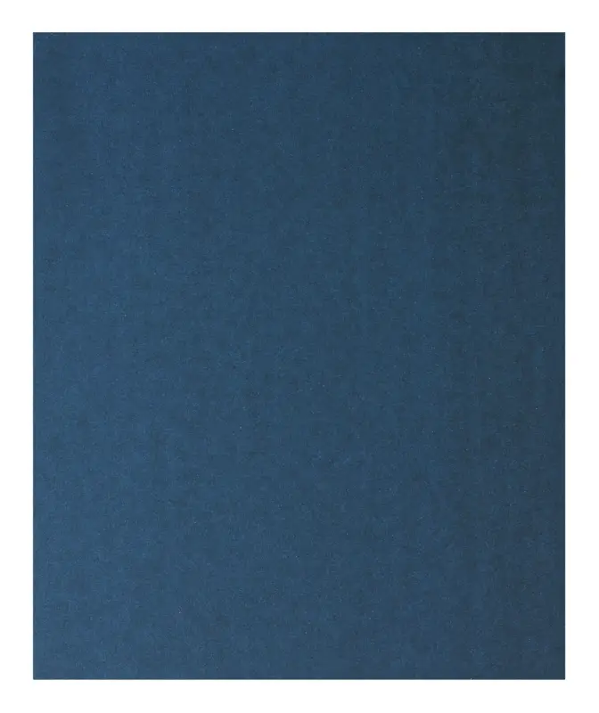 Nur Für Kurze Zeit Bosch Zubehör Handschleifpapier Metall, 230 x 280 mm, P180 - 1er Pack (Verpackungseinheit 50 Stück)