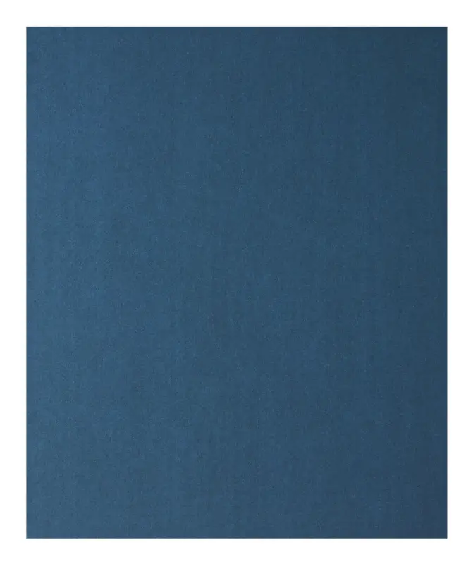 Sichere Zahlung Bosch Zubehör Handschleifpapier Metall, 230 x 280 mm, P320 - 1er Pack (Verpackungseinheit 50 Stück)