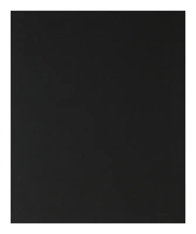 Top-Preis Bosch Zubehör Handschleifpapier SiC wasserfest, 230 x 280 mm, P400 - 4er Pack (Verpackungseinheit 10 Stück)