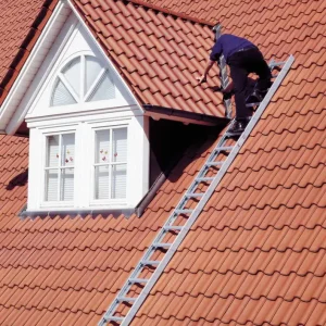 euroline Dachauflegeleiter PREMIUM RAL 8004 Alu 7 Sprossen Top-Seller