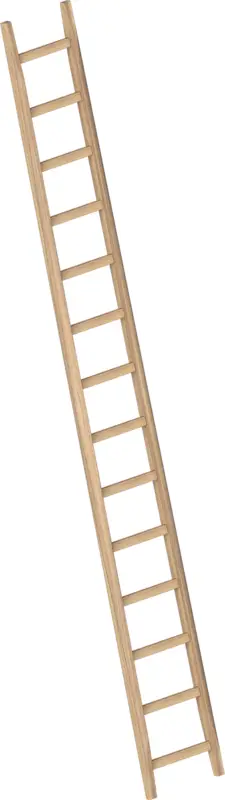 Layher Bau-Anlegeleiter Holz - 17 Sprossen Mega-Angebot