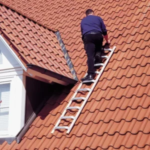 euroline Dachauflegeleiter Holz Alu 8 Sprossen Zertifiziert