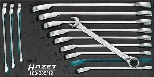 Beliebt Hazet Werkzeugmodul 163-385/12 12-teilig - 163-385/12