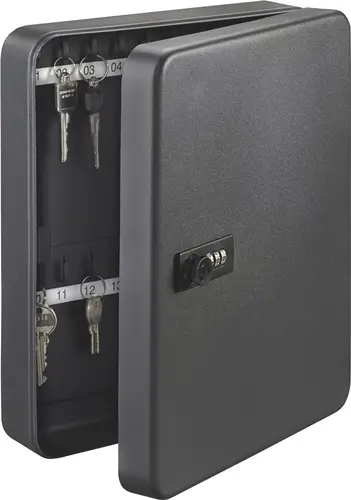 BURG-WÄCHTER Schlüsselbox KC H200xB160xT60mm schwarz Stahlbl.Anz.Hak.20 St. - KC 20 C Preis Gesenkt