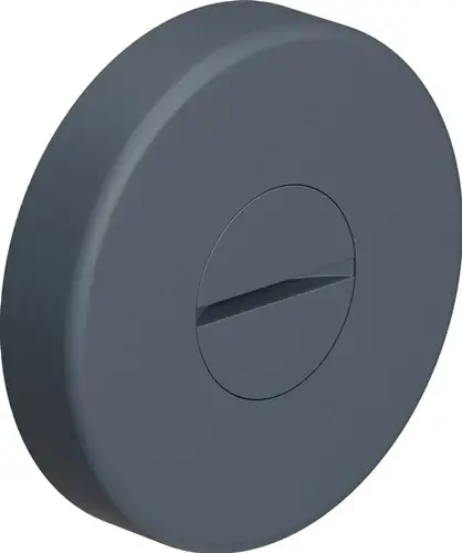 Rabatt HEWI Schlüsselrosette 306.23PBNRLN 99 Ku.99 Schildst.10,5mm FBM rd - 306.23PBNRLN 99
